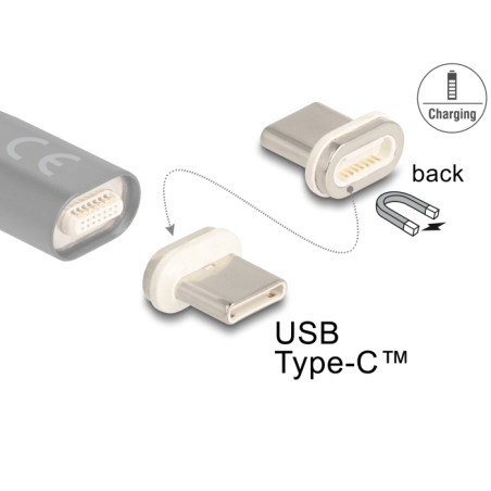 Delock Magnetischer Adapter USB Type-C™ Stecker