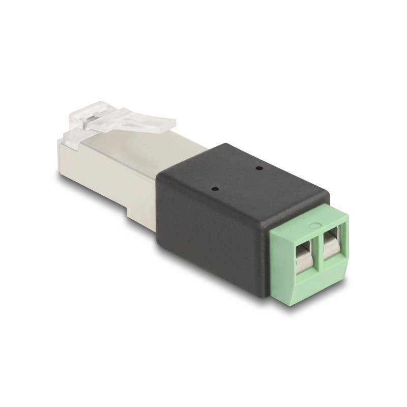 Delock RJ45 Stecker zu Terminalblock Adapter 2 Pin