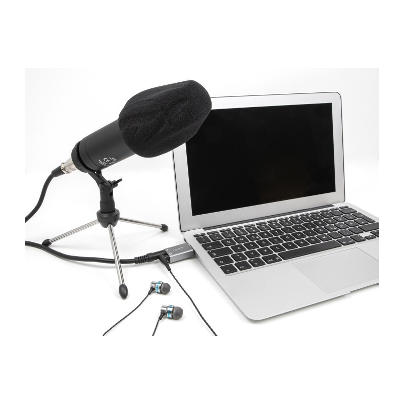 Delock Externe USB Soundkarte mit USB-A Stecker auf 2 x 3,5 mm Klinkenbuchse Plug & Play Audio Adapter