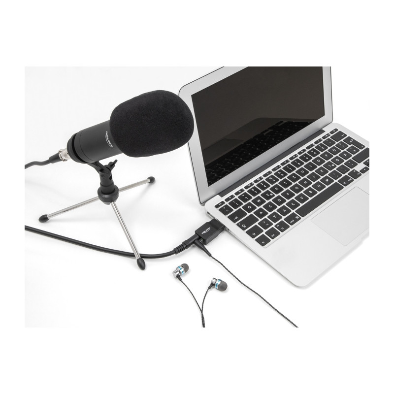 Delock Externe USB Soundkarte mit USB-A Stecker auf 2 x 3,5 mm Klinkenbuchse Plug & Play Audio Adapter schwarz