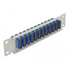 Delock 10″ LWL Patchpanel 12 Port SC Duplex blau 1 HE grau