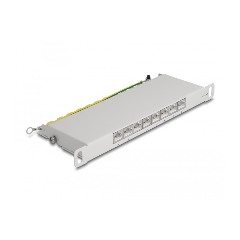Delock 10″ Patchpanel 8 Port Cat.6A 0,5 HE grau