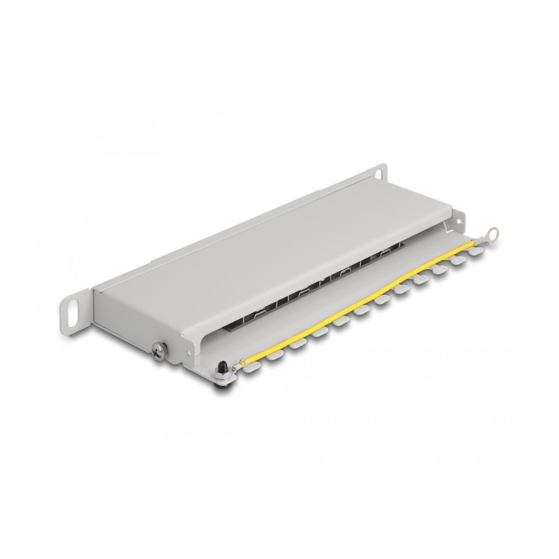 Delock 10″ Patchpanel 8 Port Cat.6A 0,5 HE grau