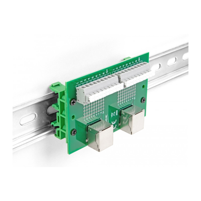 Delock RJ45 2 x Buchse zu 2 x Terminalblock mit Drucktaster für Hutschiene