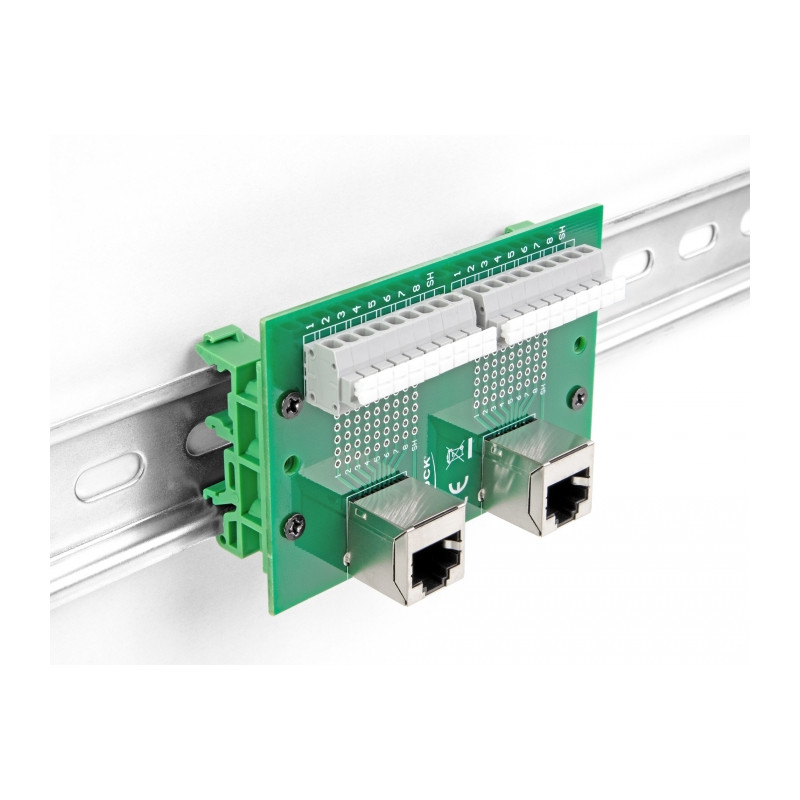 Delock RJ45 2 x Buchse zu 2 x Terminalblock mit Drucktaster für Hutschiene gewinkelt
