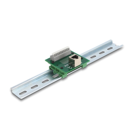 Delock RJ50 Buchse zu Terminalblock mit Drucktaster für Hutschiene gewinkelt