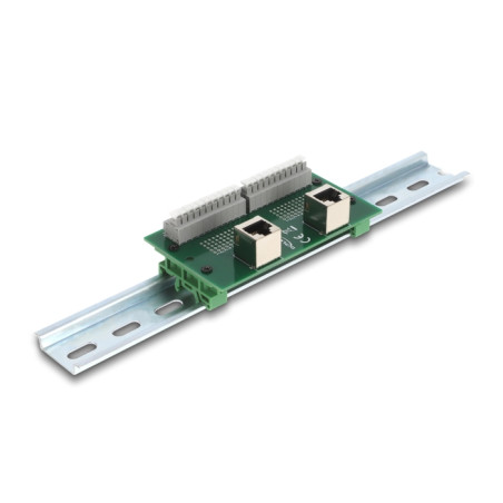 Delock RJ50 2 x Buchse zu 2 x Terminalblock mit Drucktaster für Hutschiene gewinkelt