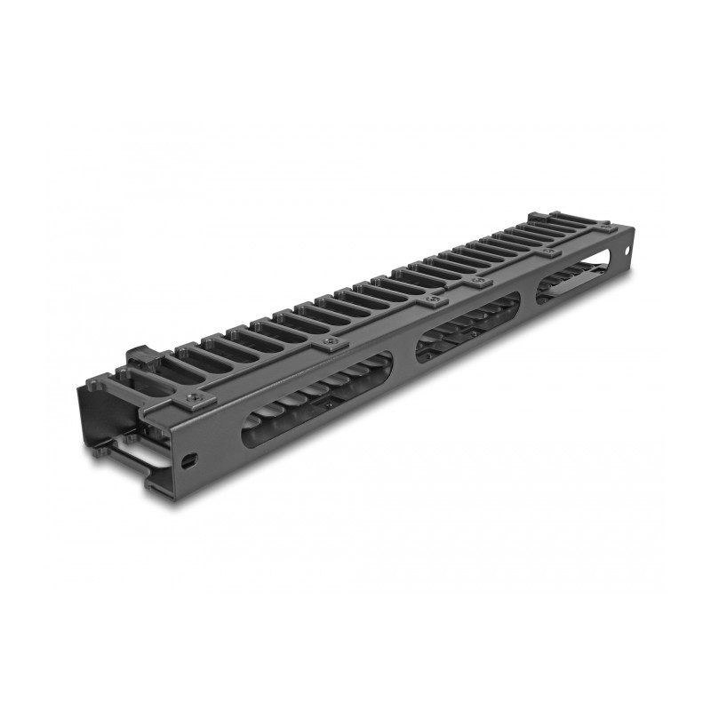 Delock 19″ Kabelmanagement Rangierpanel mit 3 Öffnungen 1 HE schwarz