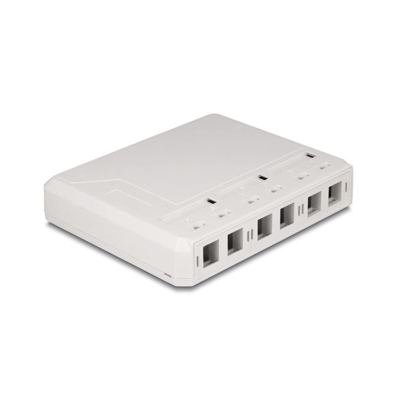 Delock Keystone Leergehäuse 6 Port für Glasfaser und Netzwerk weiß