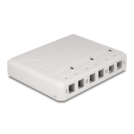 Delock Keystone Leergehäuse 6 Port für Glasfaser und Netzwerk weiß
