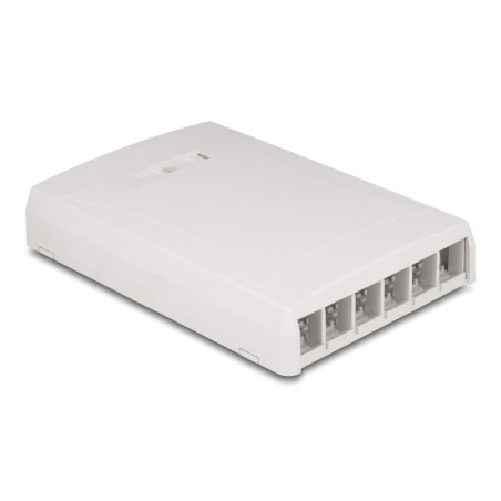 Delock Keystone Leergehäuse Aufputz 6 Port für Glasfaser und Netzwerk weiß