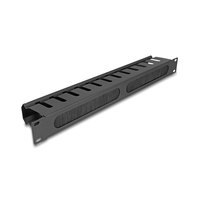 Delock 19″ Kabelmanagement Rangierpanel mit Bürste und 2 Öffnungen 1 HE schwarz