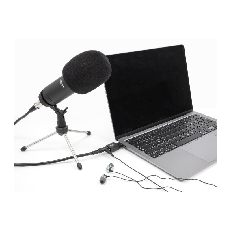 Delock Externe USB Soundkarte mit USB Type-C™ Stecker auf 2 x 3,5 mm Klinkenbuchse Plug & Play Audio Adapter schwarz