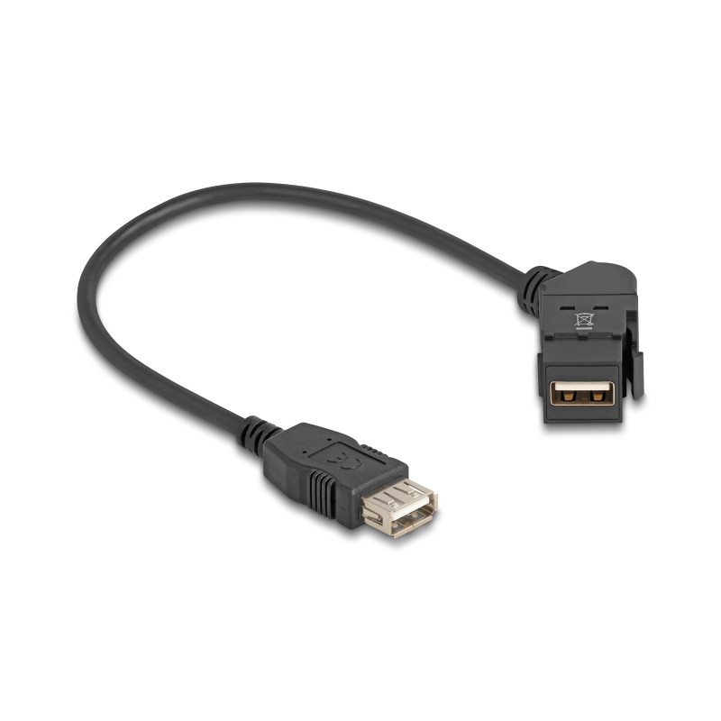 Delock Keystone Modul USB 2.0 Typ-A Einbaubuchse 45° gewinkelt zu Typ-A Buchse mit 30 cm Kabel schwarz