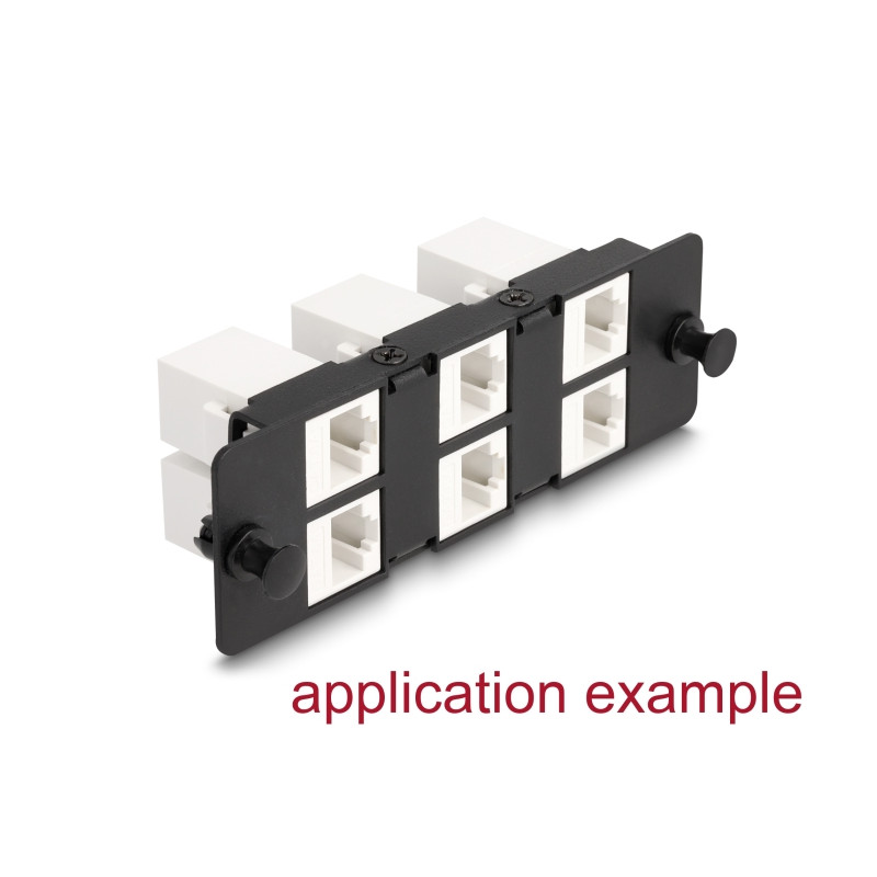 Delock Adapter Panel für Keystone Module 6 Port schwarz