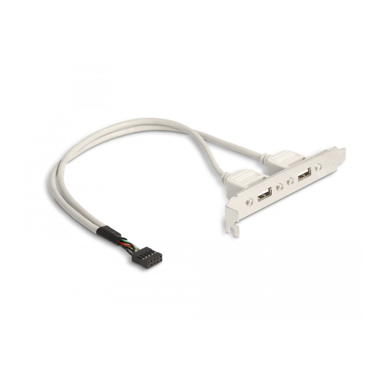 Delock Slotblech 2 x USB 2.0 Typ A Buchse extern