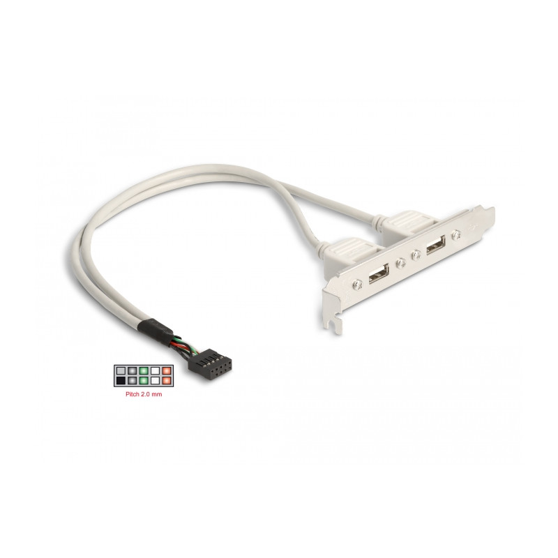 Delock Slotblech 2 x USB 2.0 Typ A Buchse extern