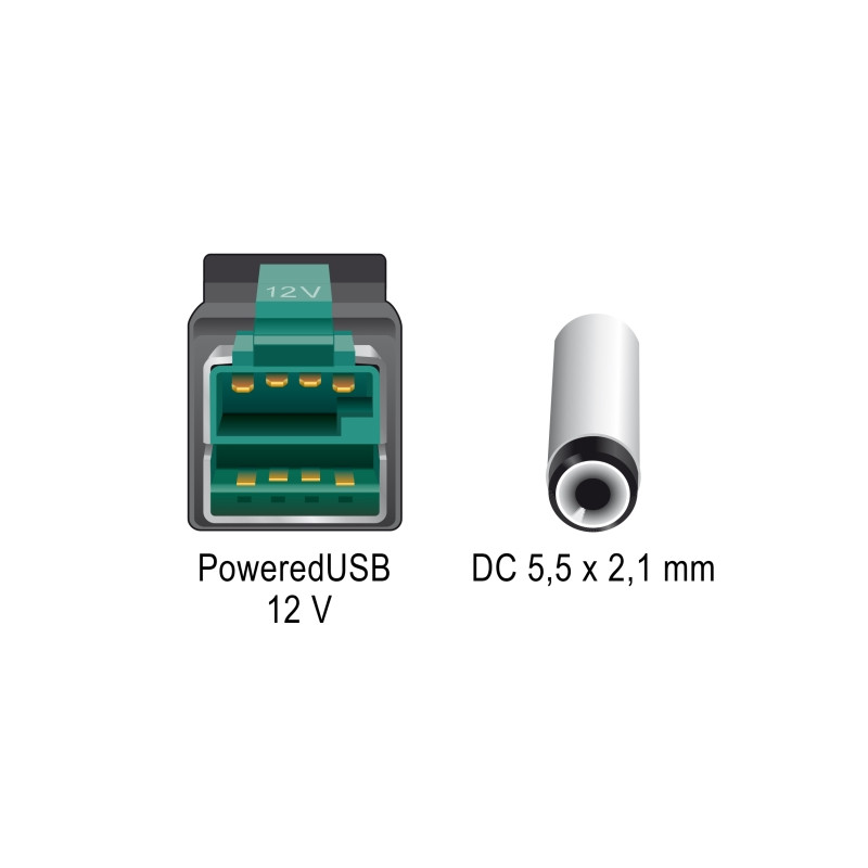 Delock PoweredUSB Kabel Stecker 12 V zu DC 5,5 x 2,1 mm Stecker gewinkelt 3 m