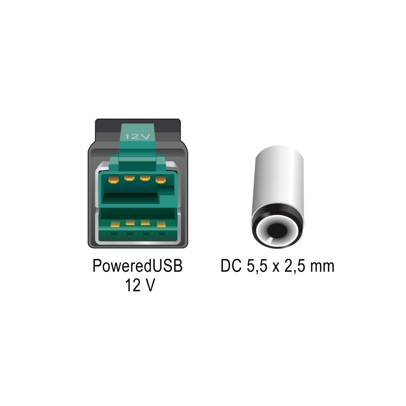Delock PoweredUSB Kabel Stecker 12 V zu DC 5,5 x 2,5 mm Stecker 2 m