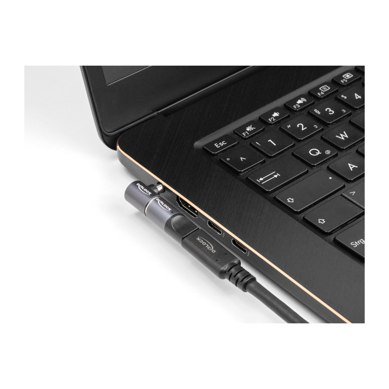 Delock Adapter für Notebook Ladekabel IBM 7,9 x 5,5 mm Stecker zu magnetischem 8 Pin Konnektor