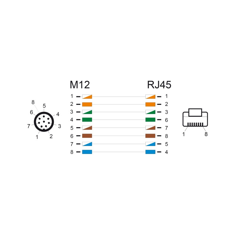 Delock M12 Kabel A-kodiert 8 Pin Stecker zu RJ45 Stecker PVC 5 m