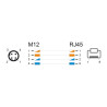 Delock M12 Kabel D-kodiert 4 Pin Stecker zu RJ45 Stecker PVC 1 m