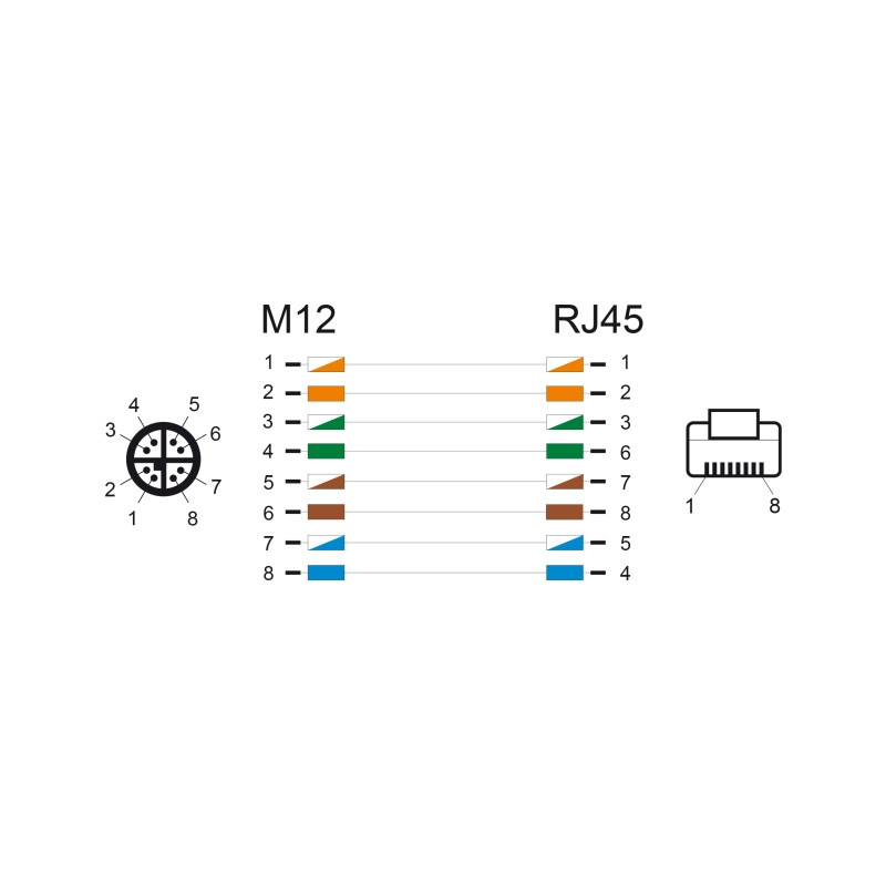Delock M12 Kabel X-kodiert 8 Pin Stecker zu RJ45 Stecker PVC 1 m