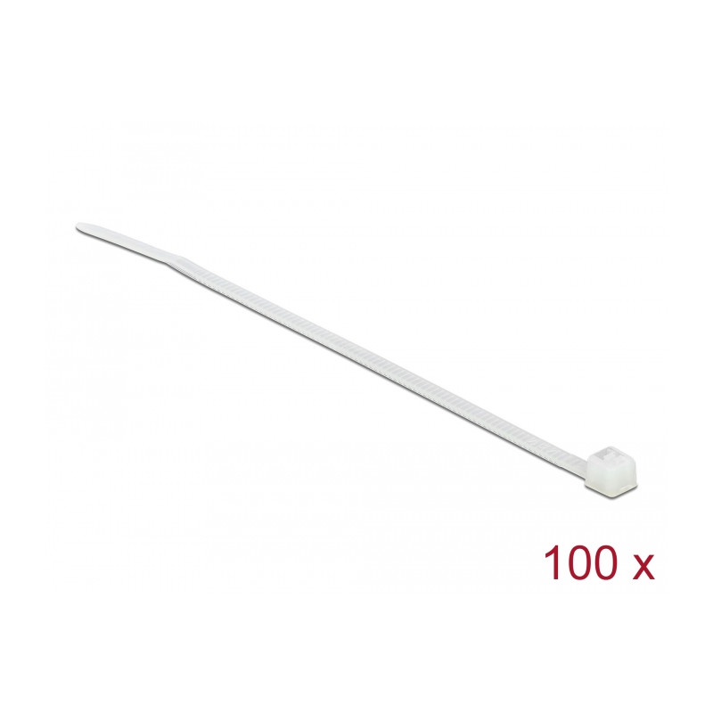 Delock Kabelbinder transparent L 100 x B 2,5 mm 100 Stück