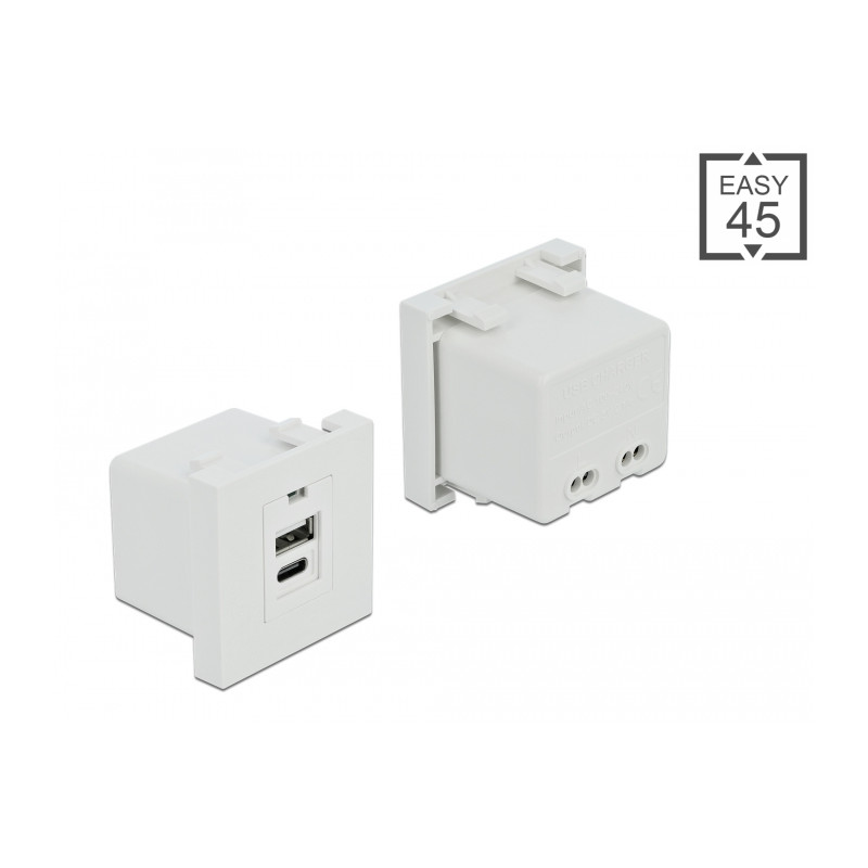 Delock Easy 45 USB Ladeportmodul 1 x USB Typ-A + 1 x USB Type-C™ 10,5 W