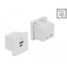 Delock Easy 45 USB Ladeportmodul 1 x USB Typ-A + 1 x USB Type-C™ 10,5 W