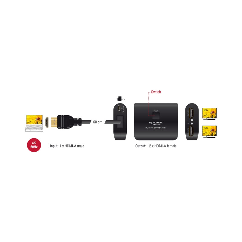 Delock HDMI Splitter 1 x HDMI in zu 2 x HDMI out 4K 60 Hz mit Downscaler