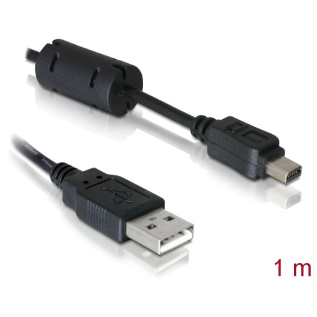 Delock Kabel Kamera USB-A Stecker zu Olympus 12-Pin Stecker 1 m