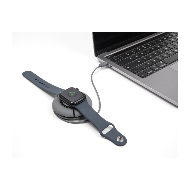Delock USB Type-C™ Aufrollladekabel für Apple Watch 1 m grau magnetisch