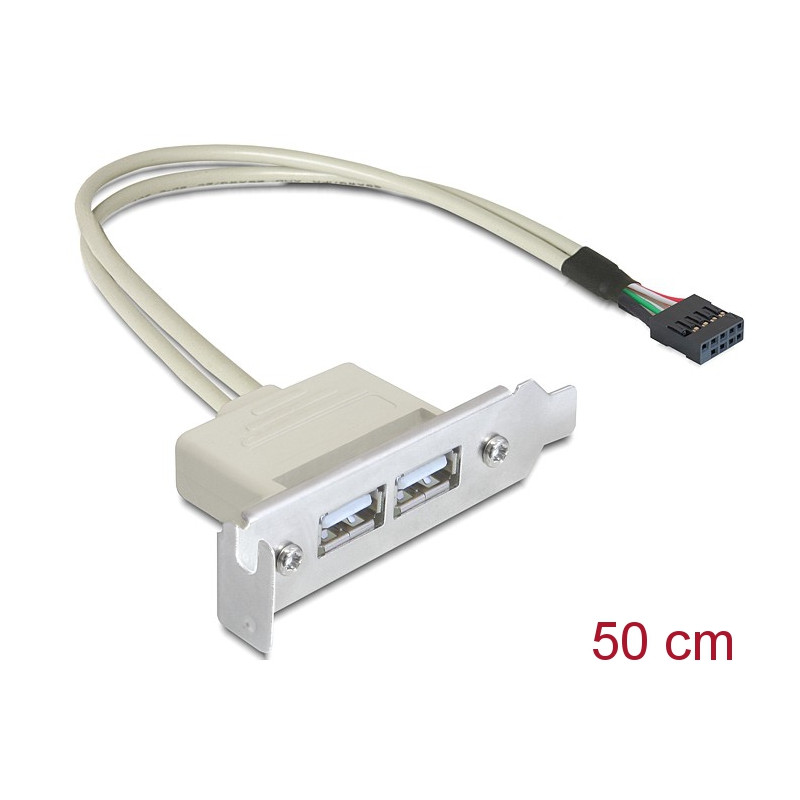 Delock Slotblech USB 2.0 Low Profile 2 Port