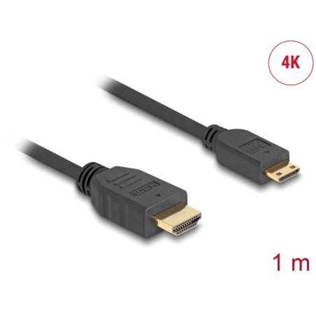 Delock Kabel High Speed HDMI mit Ethernet - HDMI-A Stecker - HDMI Mini-C Stecker 4K 1 m Slim
