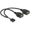 Delock USB Kabel Pin Header Buchse - 2 x USB 2.0 Typ-A Buchse 20 cm