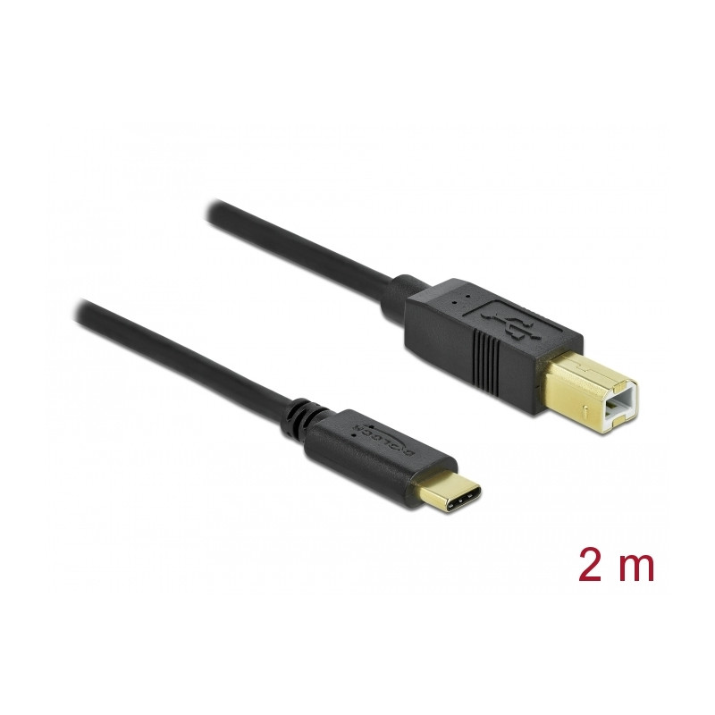 Delock USB 2.0 Kabel Type-C zu Typ-B 2 m
