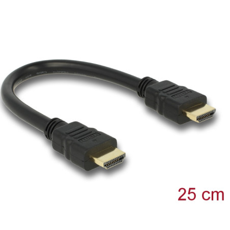 Delock Kabel High Speed HDMI mit Ethernet – HDMI A Stecker - HDMI A Stecker 4K 25 cm