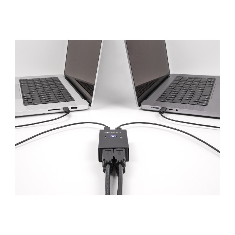 Delock USB 2.0 Switch für 2 PC an 4 Geräte