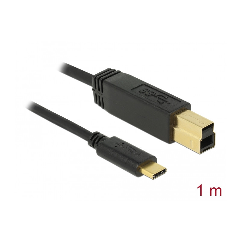 Delock USB 10 Gbps Kabel USB Type-C™ zu Typ-B 1 m