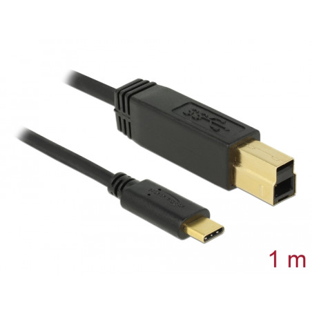 Delock USB 10 Gbps Kabel USB Type-C™ zu Typ-B 1 m
