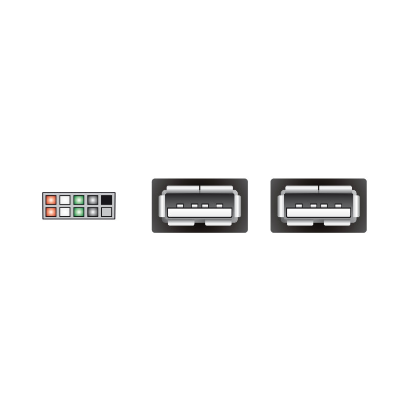 Delock USB Kabel Pin Header Buchse - 2 x USB 2.0 Typ-A Buchse 40 cm