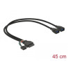 Delock Kabel USB 3.0 Pfostenbuchse + USB 2.0 Pfostenbuchse - 2 x USB 3.0 A Buchse 45 cm