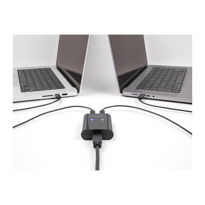Delock USB 5 Gbps Switch für 2 PC an 1 Gerät