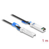 Delock Twinax Kabel SFP28 Stecker zu SFP28 Stecker 25 Gbps 1 m