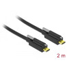 Delock USB 10 Gbps Kabel USB Type-C™ Stecker zu USB Type-C™ Stecker mit Schraube oben 2 m schwarz