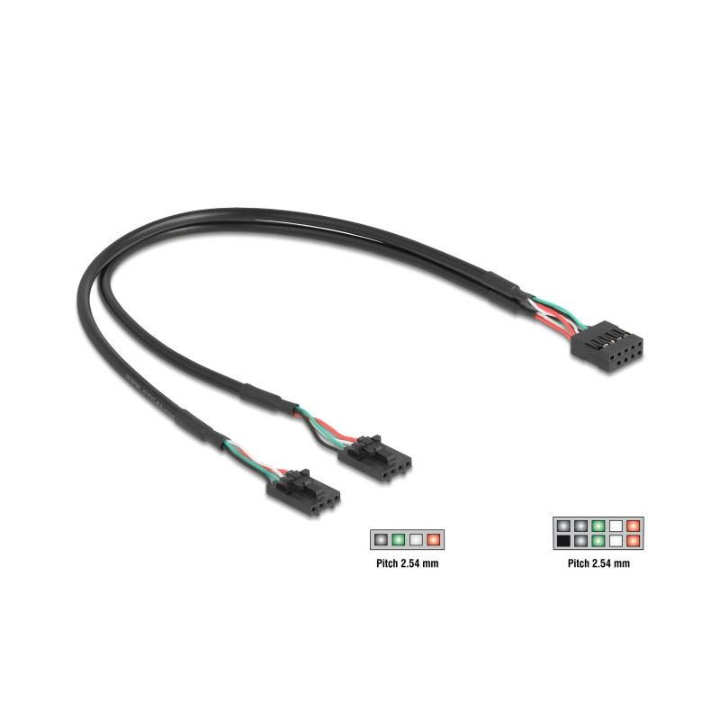 Delock Kabel USB 2.0 Pfostenbuchse 2,54 mm 10 Pin zu 2 x USB 2.0 Pfostenbuchse 2,54 mm 4 Pin 30 cm