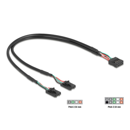 Delock Kabel USB 2.0 Pfostenbuchse 2,54 mm 10 Pin zu 2 x USB 2.0 Pfostenbuchse 2,54 mm 4 Pin 30 cm