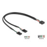 Delock Kabel USB 2.0 Pfostenbuchse 2,54 mm 10 Pin zu 2 x USB 2.0 Pfostenbuchse 2,54 mm 4 Pin 30 cm