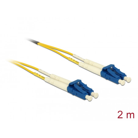 Delock Kabel Lichtwellenleiter LC - LC Singlemode OS2 2 m